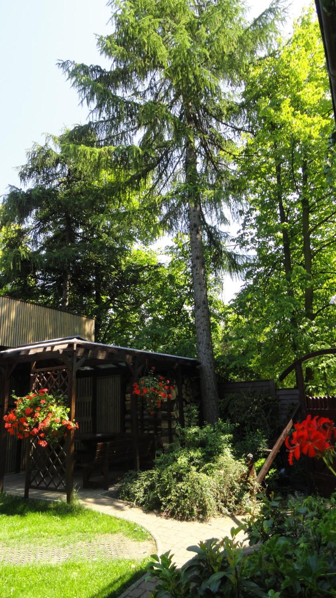 Villa Zosienka Gdańsk Exterior foto